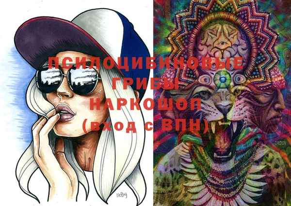 MDMA Новодвинск